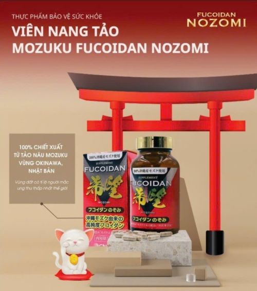 Tác dụng của Fucoidan trong hỗ trợ người bệnh Ung thư